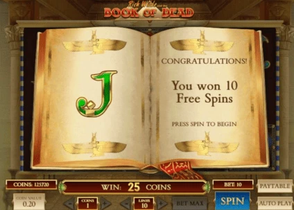 Бонусная игра Book of Dead